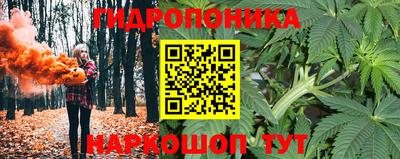 гидра Новоалександровск