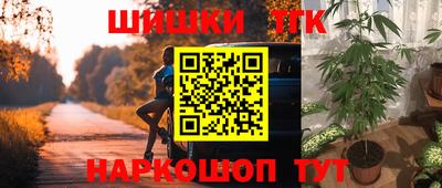гидра Новоалександровск