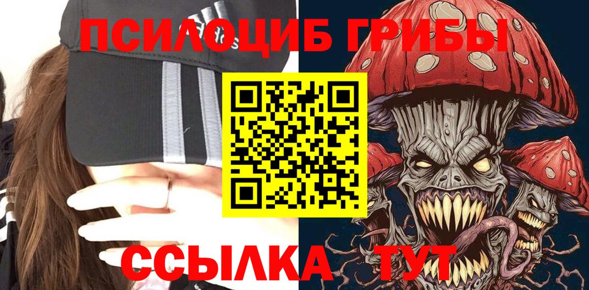 Димитровград  Псилоцибиновые грибы GOLDEN TEACHER  Вход с VPN  Псилоцибиновые грибы Psilocybine cubensis 